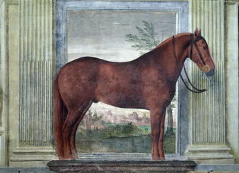 Sala dei Cavalli, detal przedstawiający portret kasztanowca ze stajni Ludovica Gonzagi III z Mantui, na policzku znakowanym literą „G”, 1528